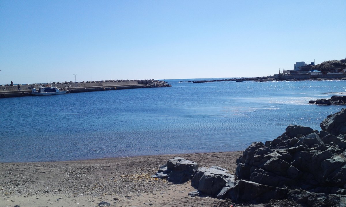 When the Camellia Blooms | Guryongpo Port — Where Yongsik Runs — photo 2