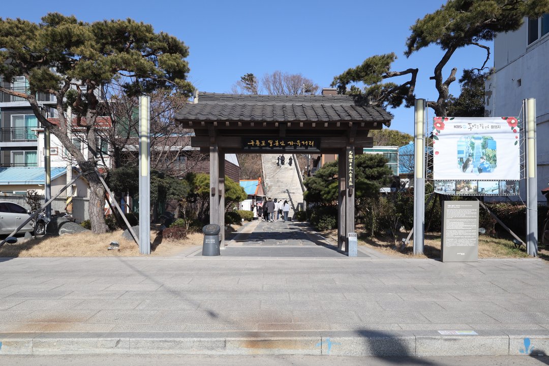 When the Camellia Blooms | Guryongpo Japanese House Street — Ongsan Is a Real Town