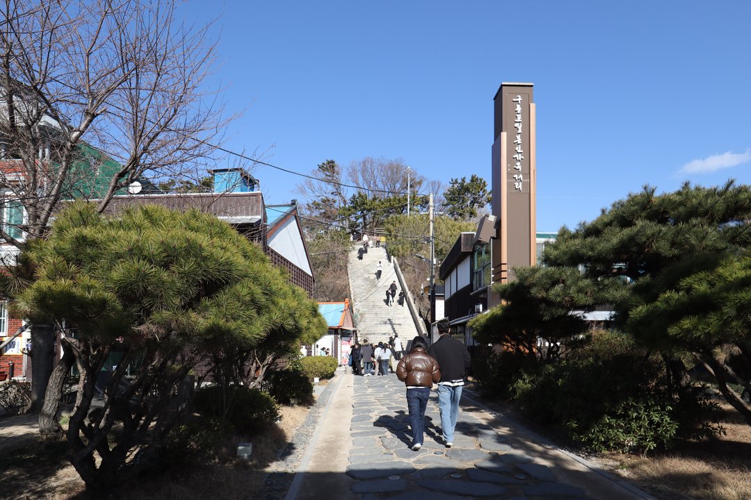 When the Camellia Blooms | Guryongpo Park Staircase — The Poster Steps — photo 2