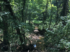 Marketing For A Hunting Ranch…