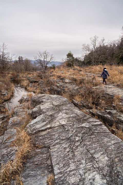 上伊那ぼたん、酔へる姿は百合の花 | 長瀞岩畳 — Stone, River, and an Unhurried Day