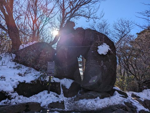 結婚するって、本当ですか 365 Days to the …