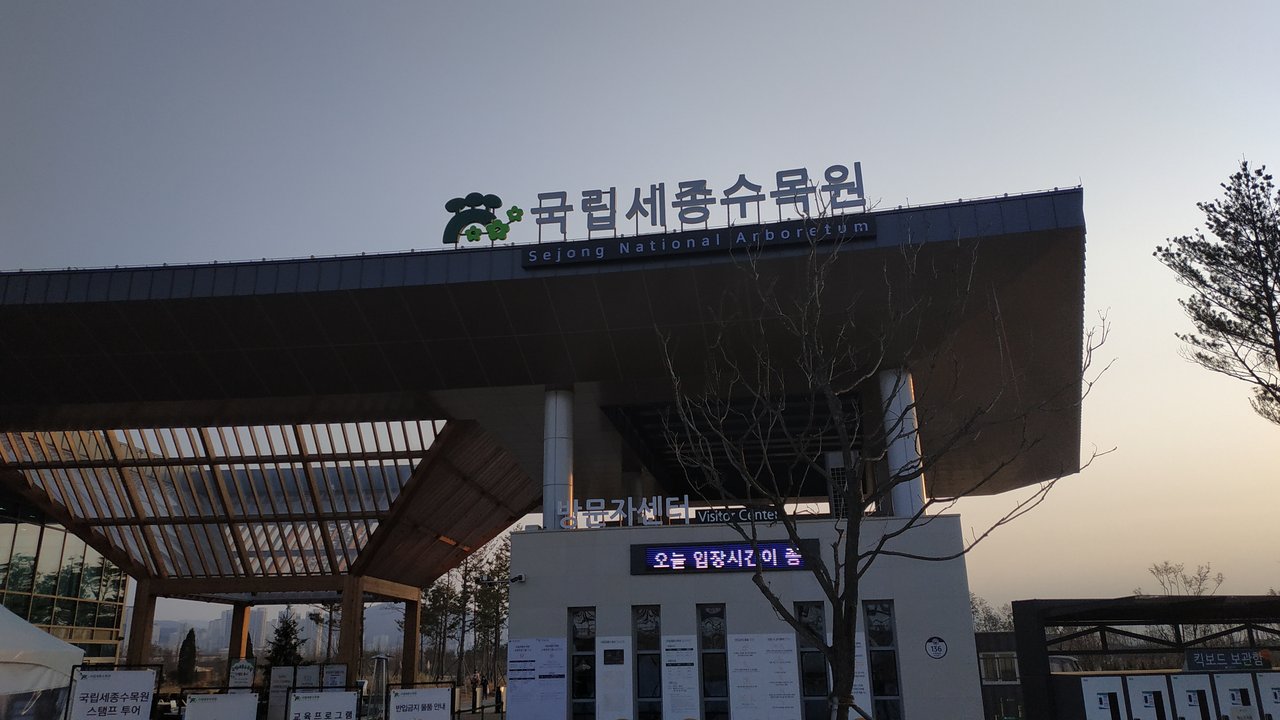 Big Mouth|Sejong National Arboretum — She Asked the Mayor Among the Trees