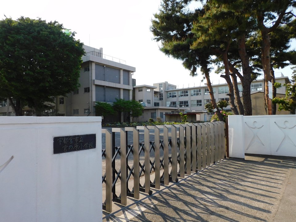 NPB History | Utsunomiya Permanent Stadium Site — The Last Defeat That Built a League