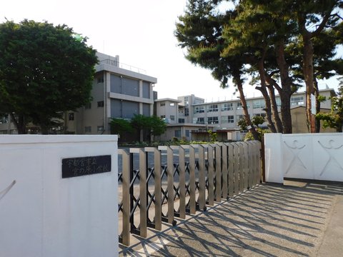 NPB History | Utsunomiya Perm…