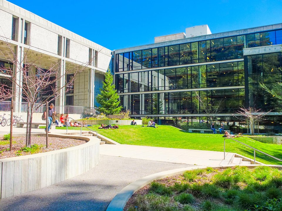 Biography|Brian S. Tyler — The Economics Degree Finished on This Redwood Campus