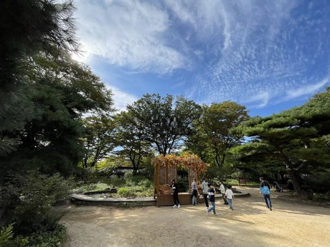 My Love from the Star | Korea…