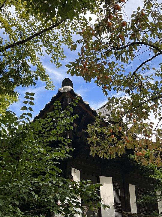 Hur Jun | Korean Folk Village — The Market Where a Clinic Could Be Built Overnight