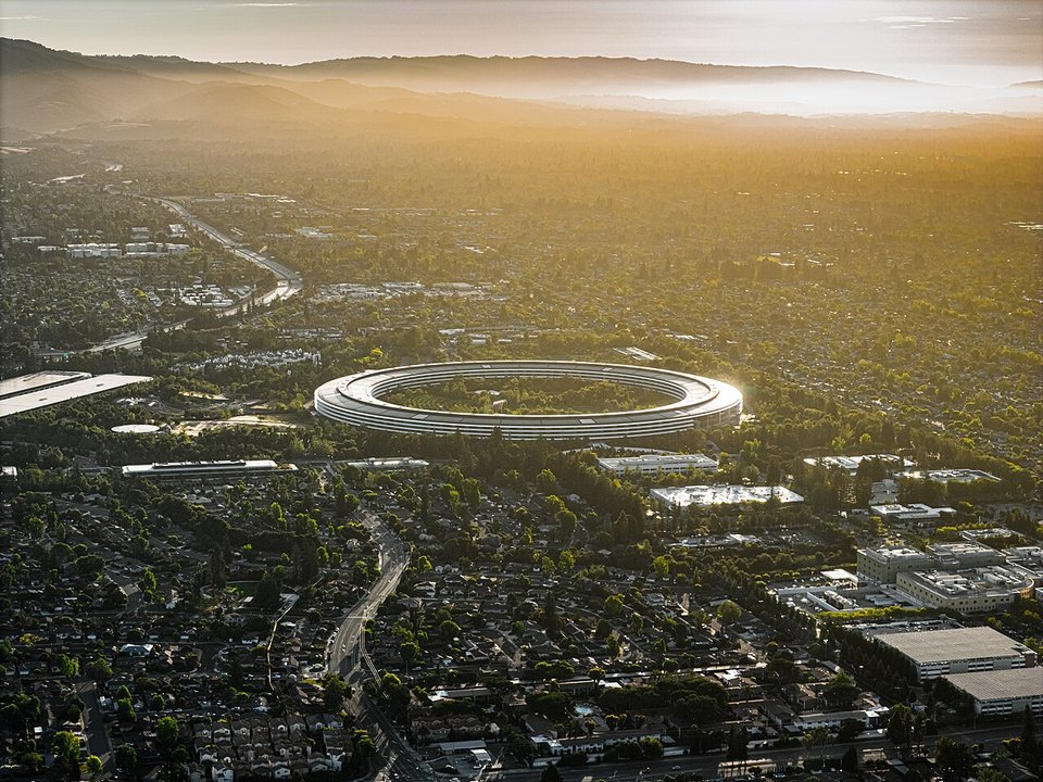 Biography | Tim Cook — The Park Where the Chair Passed After Fifteen Years