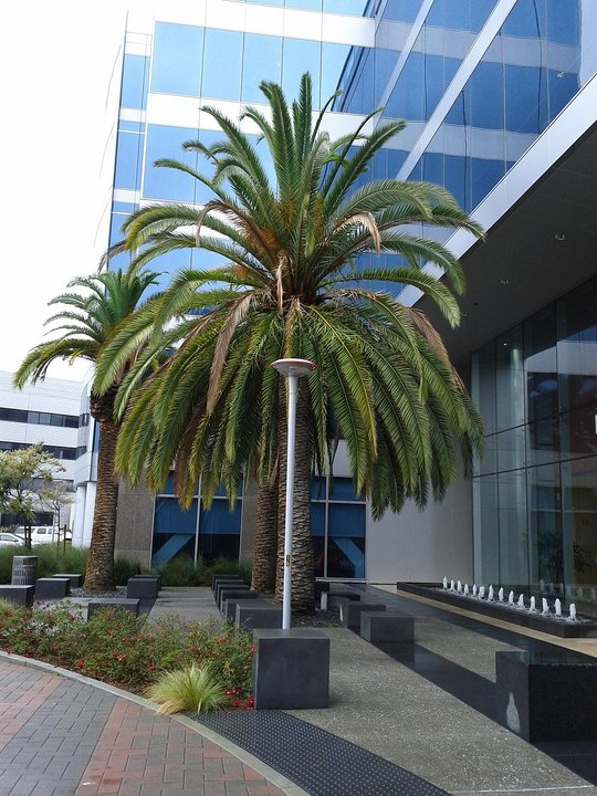 Biography|Matt Murphy — The July Morning Santa Clara Closed the Cavium Purchase