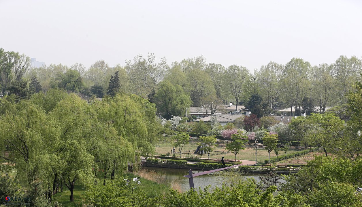 Playful Kiss|Yongsan Family Park — The Lawn Where the Date Stopped Being a Joke