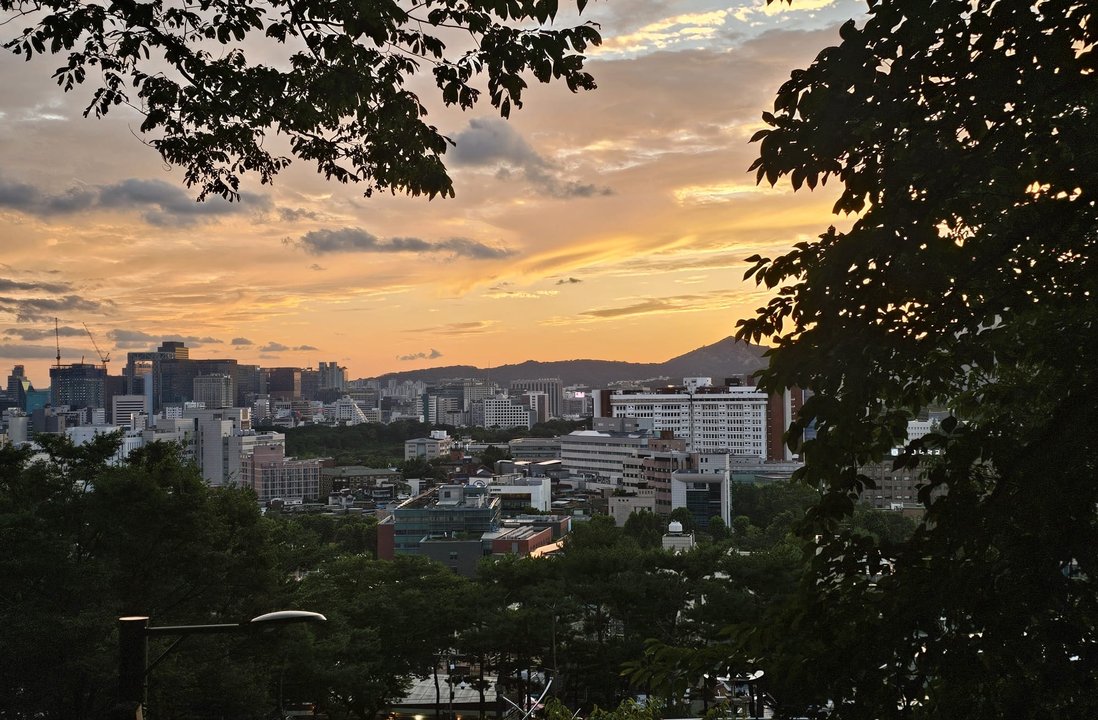Parasite | Changsin-dong Steps — The Middle of the Long Fall — photo 2
