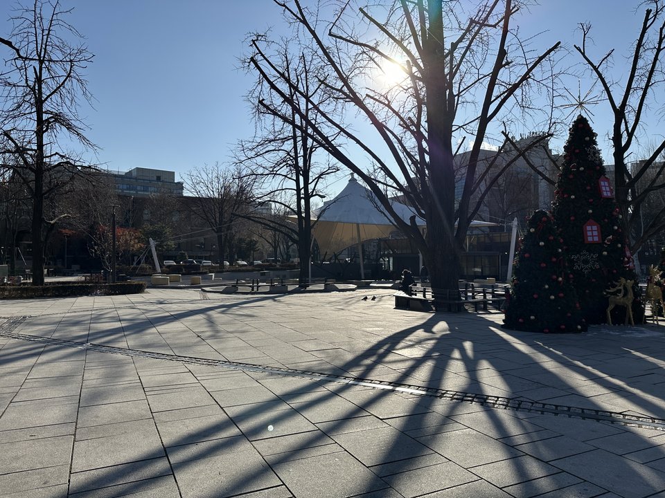Reply 1988 | Marronnier Park — The Horse Chestnut Where Daehangno Starts