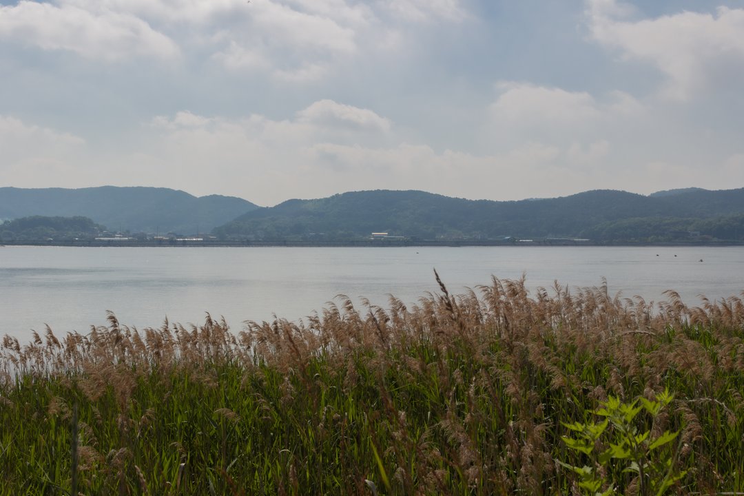Extraordinary Attorney Woo | Janghwari Sunset Viewpoint, Ganghwa — Jun-ho's Secret Spot — photo 2