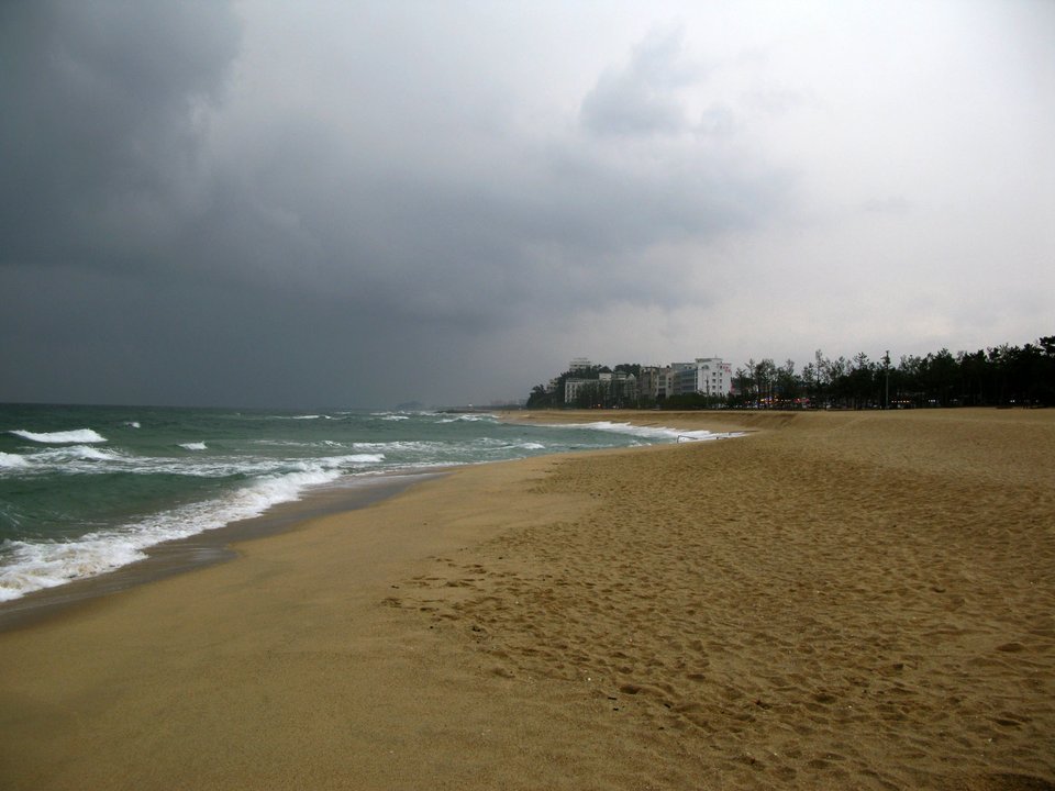She Was Pretty|Gangmun Beach — The East Sea Bench on the Business Trip