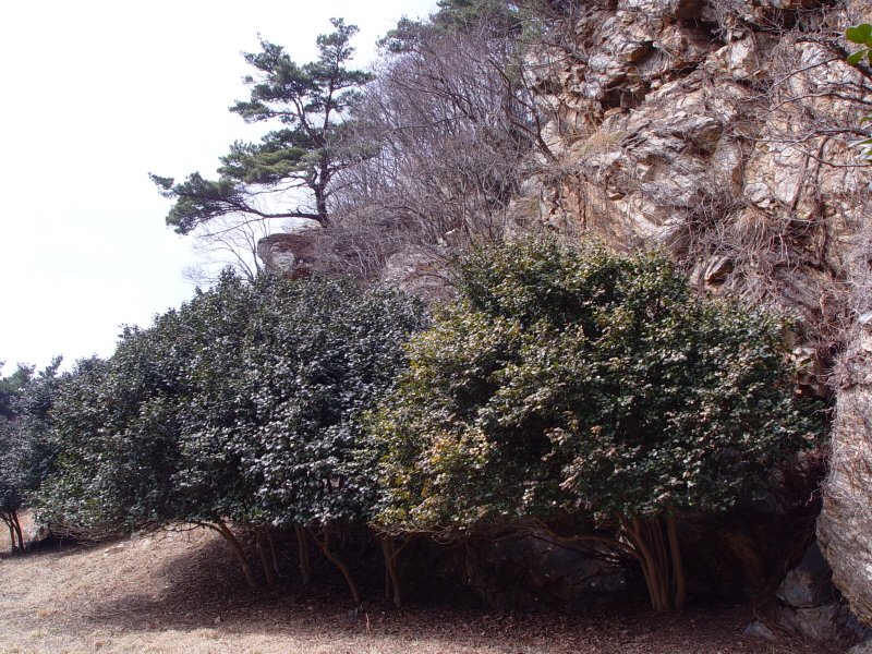 Empress Ki|Daecheongdo — The Exile Beach Where Two Horses Met the Sea