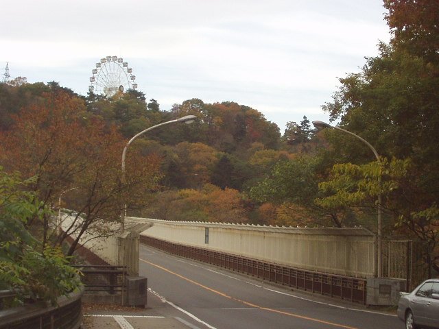 呪術廻戦 | 八木山橋 — The Bridge Remembers the Curse