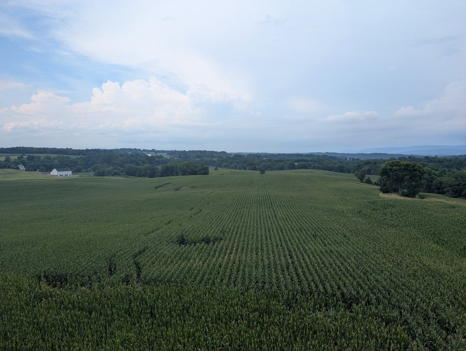 Military History | Observation Tower, Antietam — The Field the Government Did Not Buy — photo 2