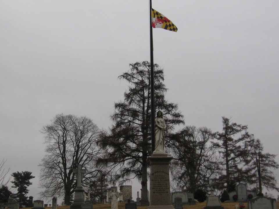 Military History | Washington Confederate Cemetery — Two Stones in the Grass