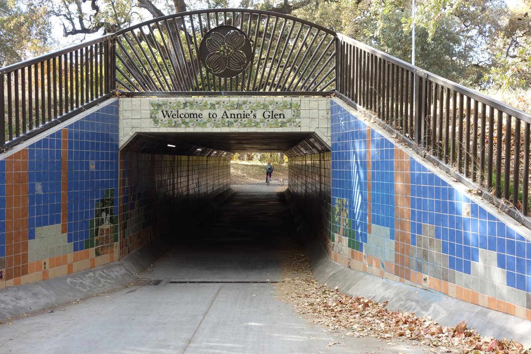 The Adventures of Robin Hood | Cedar Grove, Bidwell Park — the plantation that stood in for an English wood