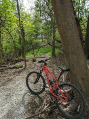 Wild Encounters and Thrilling…