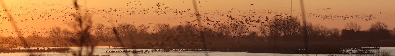 About Schmidt|Louisville State Recreation Area — A Winnebago on the Platte
