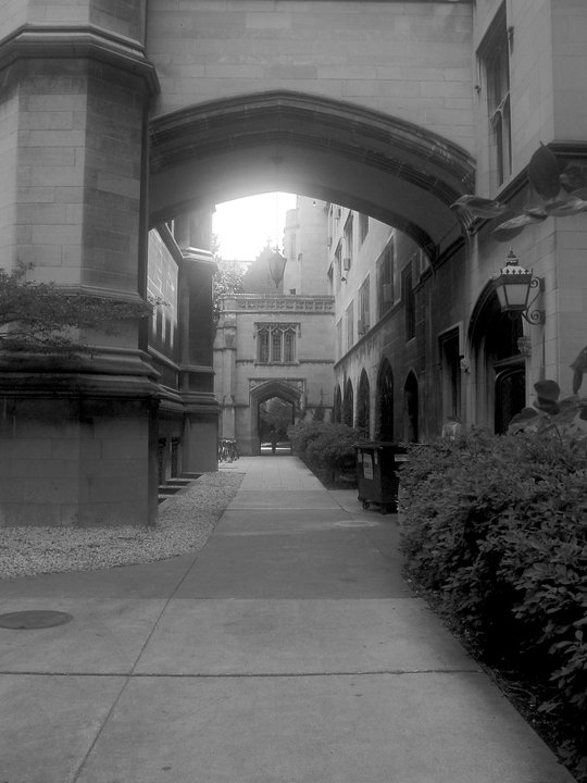 Biography|Brian S. Tyler — The Chicago Doctorate Taken in This Social Science Building