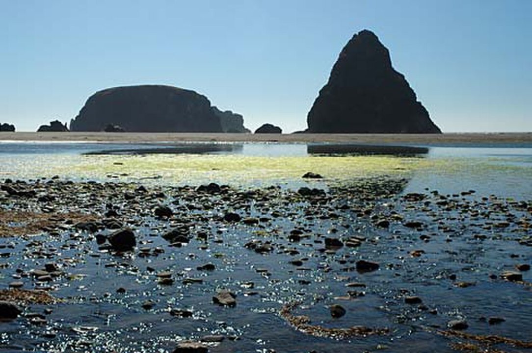 65|Whaleshead Beach — the first shore on a world that isn't Earth