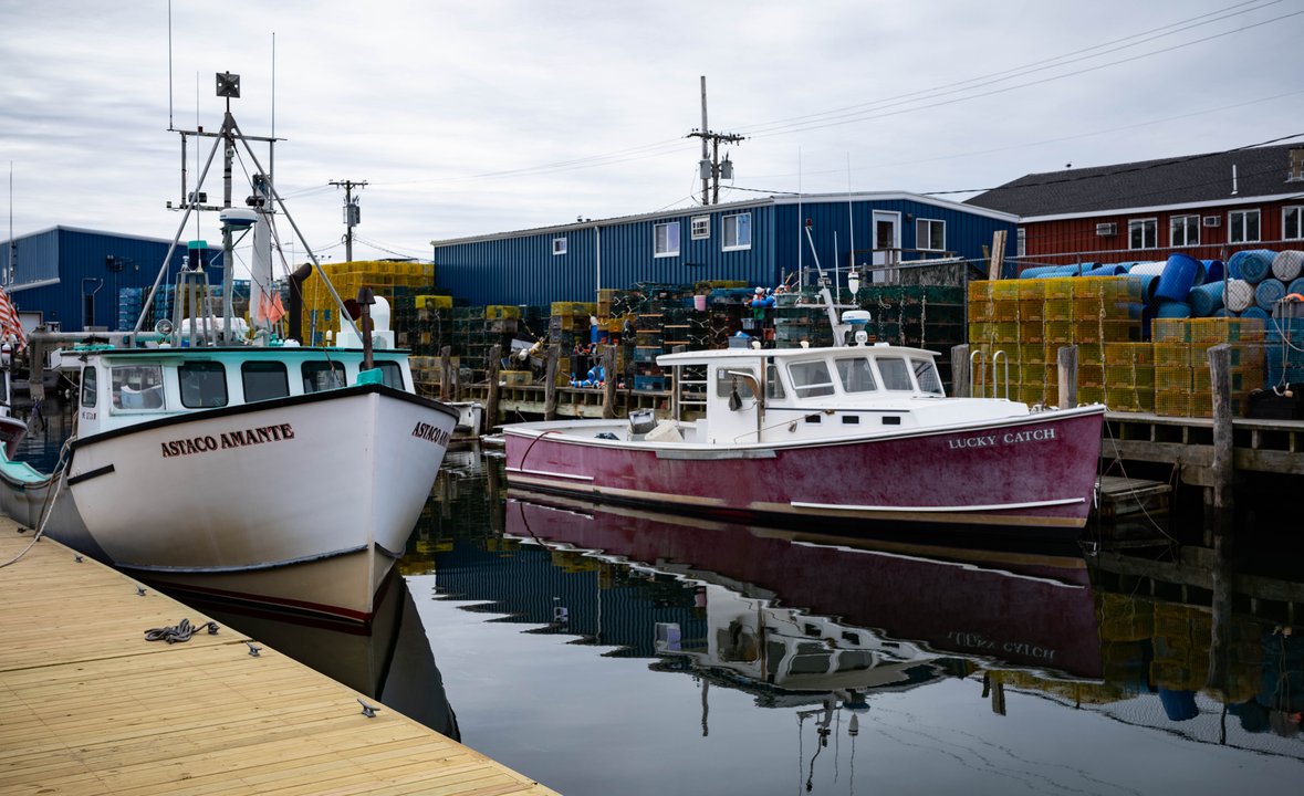 Health History | IDEXX — AgriTech Written on the Portland Waterfront in December