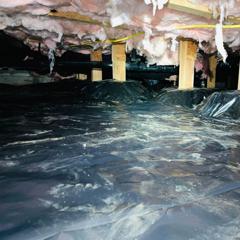 Review Of Crawl Space Pest Co…