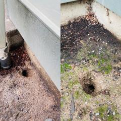 Happy Valley Oregon Rodent Pe…