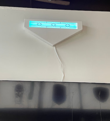 Removing Fruit Flies From Por…