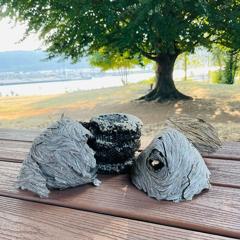 Review Of Wasp Removal Compan…