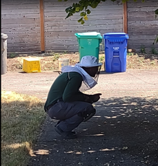 Yellowjacket Pest Control For…