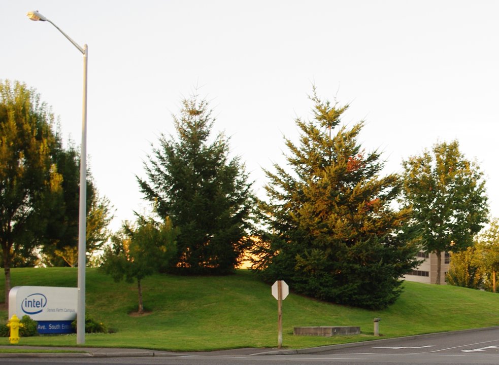 Biography | Michelle Johnston Holthaus — The Hillsboro Campus Where Intel Hired a Program Manager — photo 2