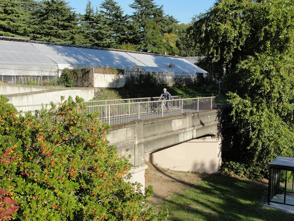 21 & Over | The Burke-Gilman Trail — Where they closed a bike path for a car stunt