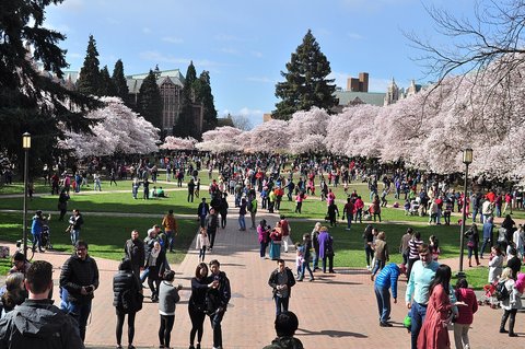 21 & Over | The Quad, Univers…