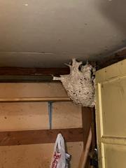 Shoreline Pest Control Compan…