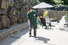 Ant Pest Control Review - Bot…