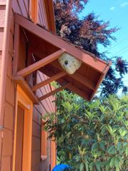 Marysville WA Pest Control Re…