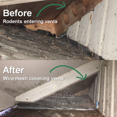 Natural Pest Control In The B…