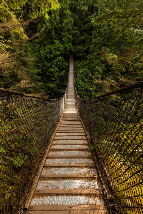 The Adam Project | Lynn Canyon Park, Lynn Valley — the woods the jet came down in
