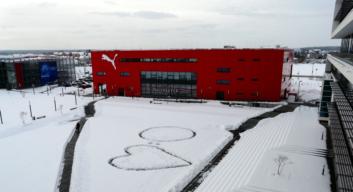 Biography|Arne Freundt — The PUMA Way Campus He Joined as Strategy Chief