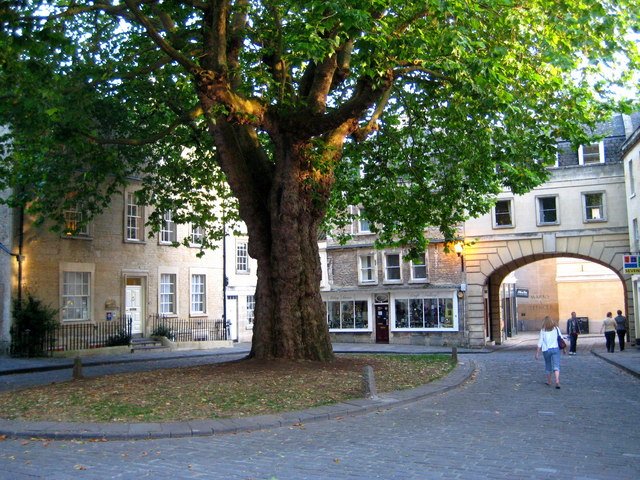 Bridgerton | Abbey Green — Secrets at the Modiste