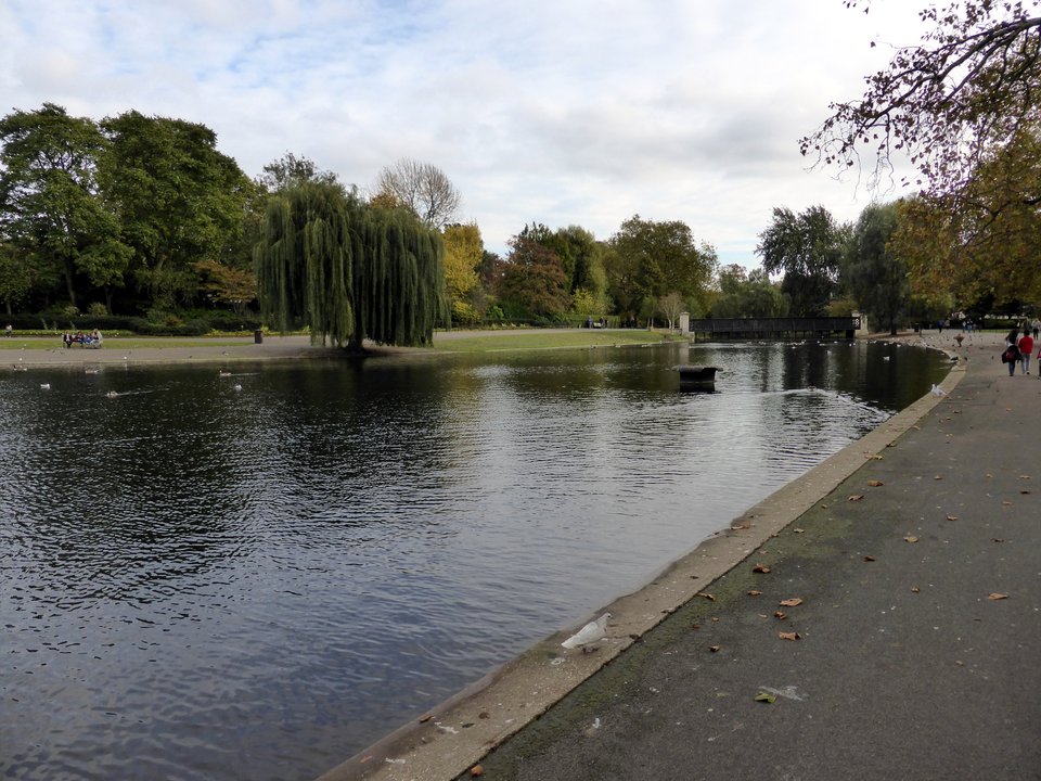 About a Boy | Regent's Park Boating Lake — Dead Duck Day