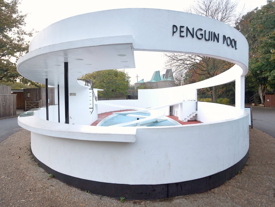 About a Boy | Penguin Pool, London Zoo — a heart-to-heart with no penguins