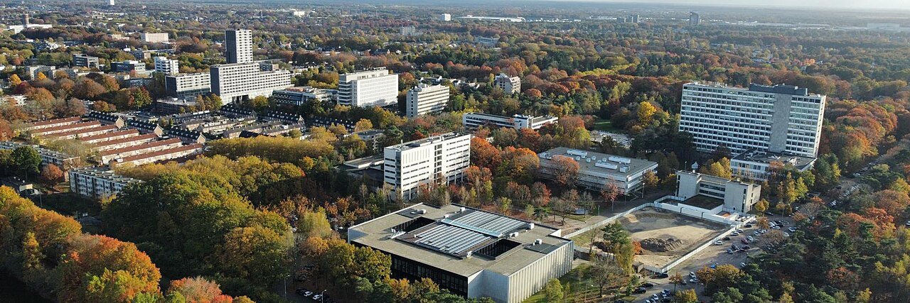 Biography|Ralph Hamers — The Econometrics Master's He Took on This Tilburg Campus