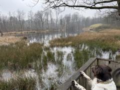 The hidden lake in the Haardt…