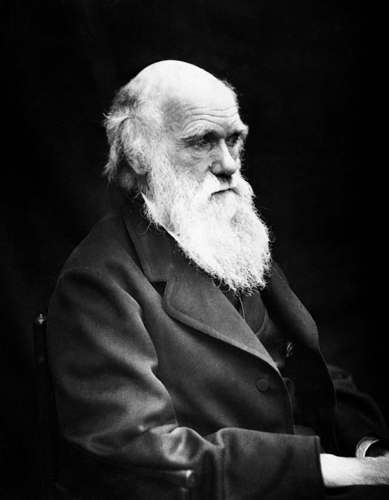 Biography | Charles Darwin — Born in This House Above the Severn — photo 2