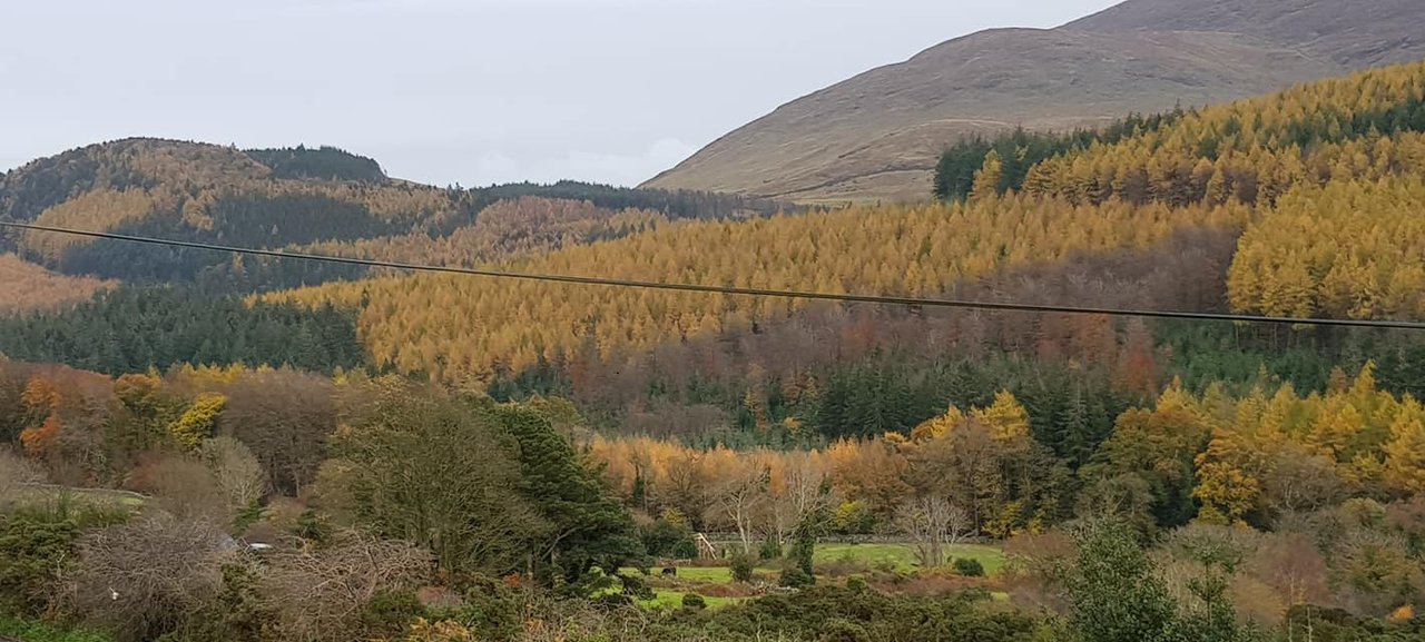 Game of Thrones | Tollymore Forest — Where the Direwolves Were Found